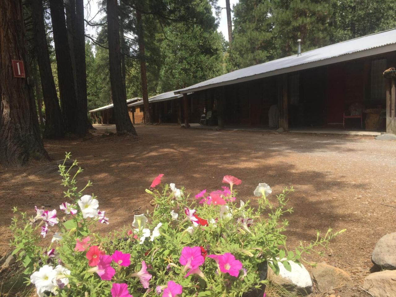 Sierra Sky Lodge Sloat Zewnętrze zdjęcie